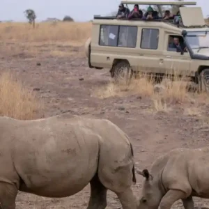 Amboseli & Tsavo Prestige: 6 Days Nairobi to Amboseli, Tsavo West & Tsavo East