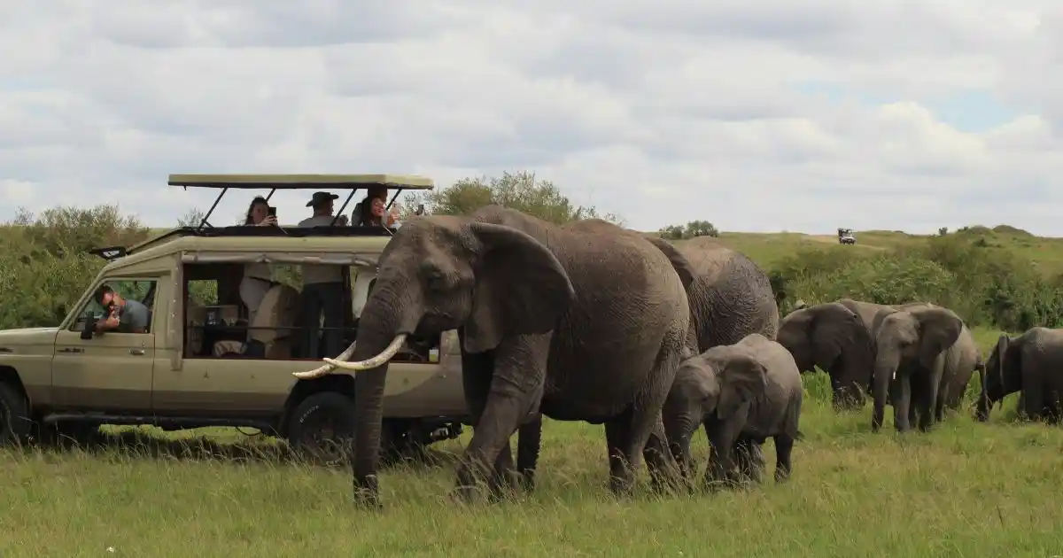 kenya-safari-wildlife (20)